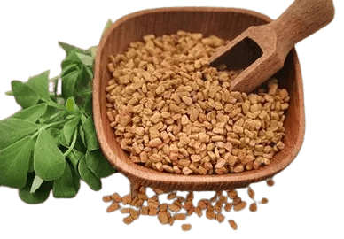 Fenugreek Seed