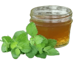 Lemon Balm